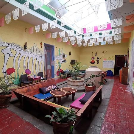 Iguana Hostel 오아하카주 외부 사진