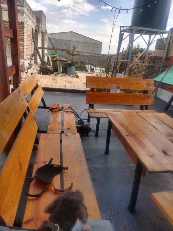 Iguana Hostel 오아하카주 외부 사진