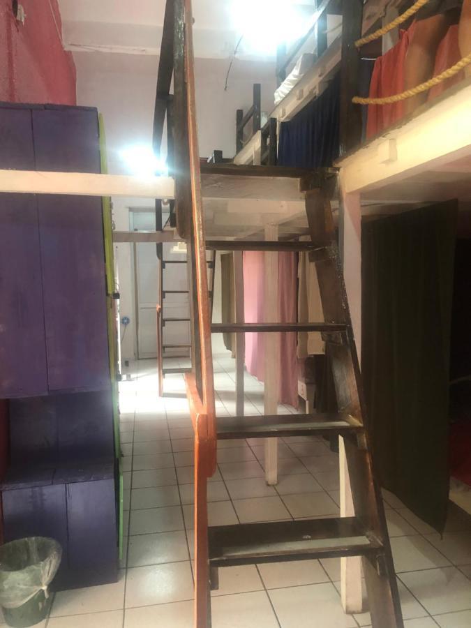Iguana Hostel 오아하카주 외부 사진