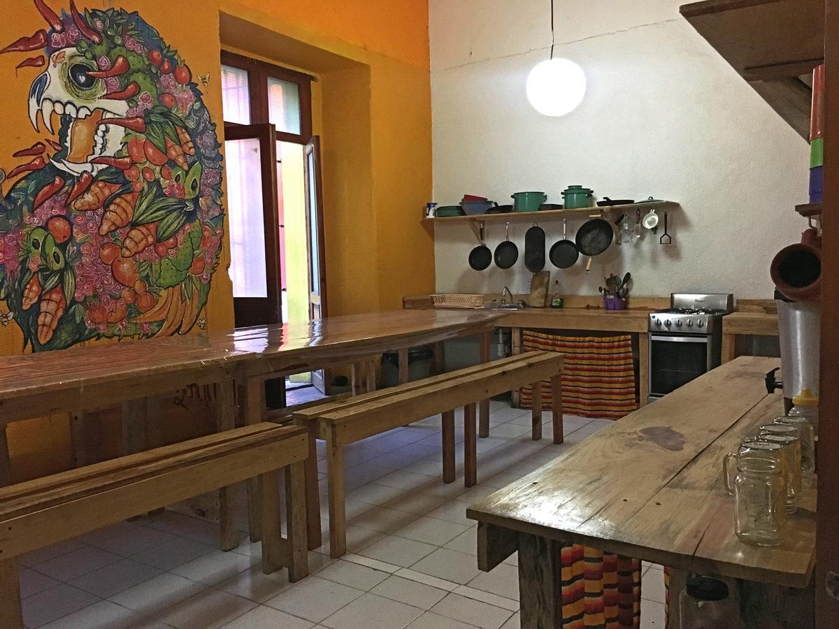 Iguana Hostel 오아하카주 외부 사진
