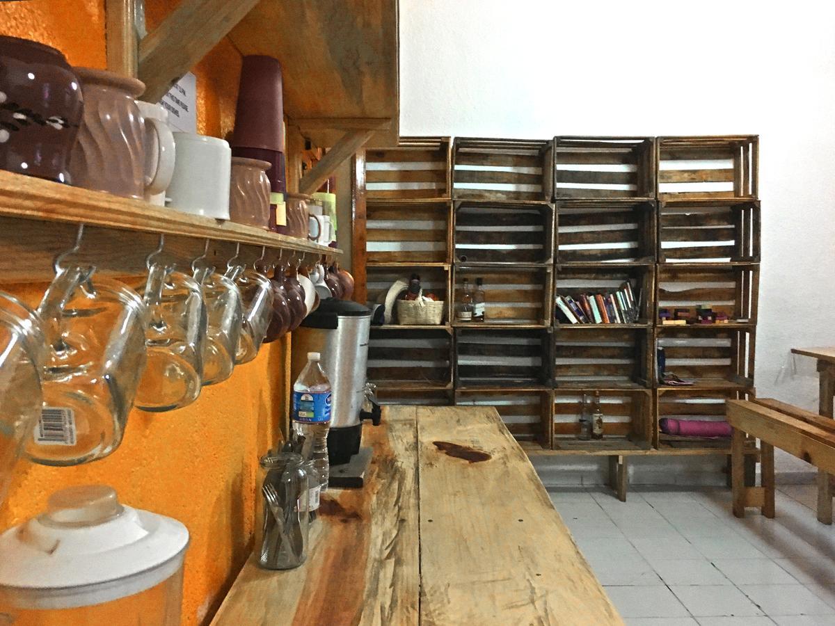 Iguana Hostel 오아하카주 외부 사진