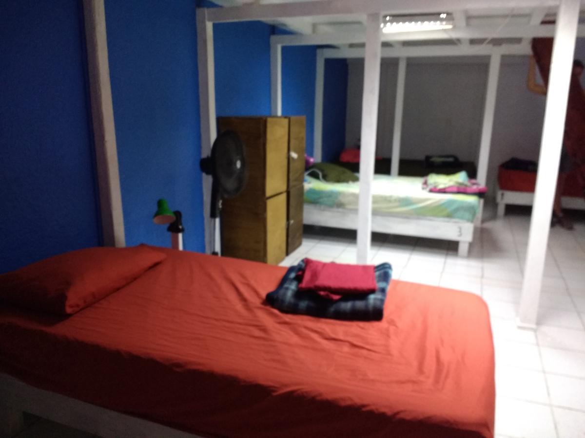 Iguana Hostel 오아하카주 외부 사진