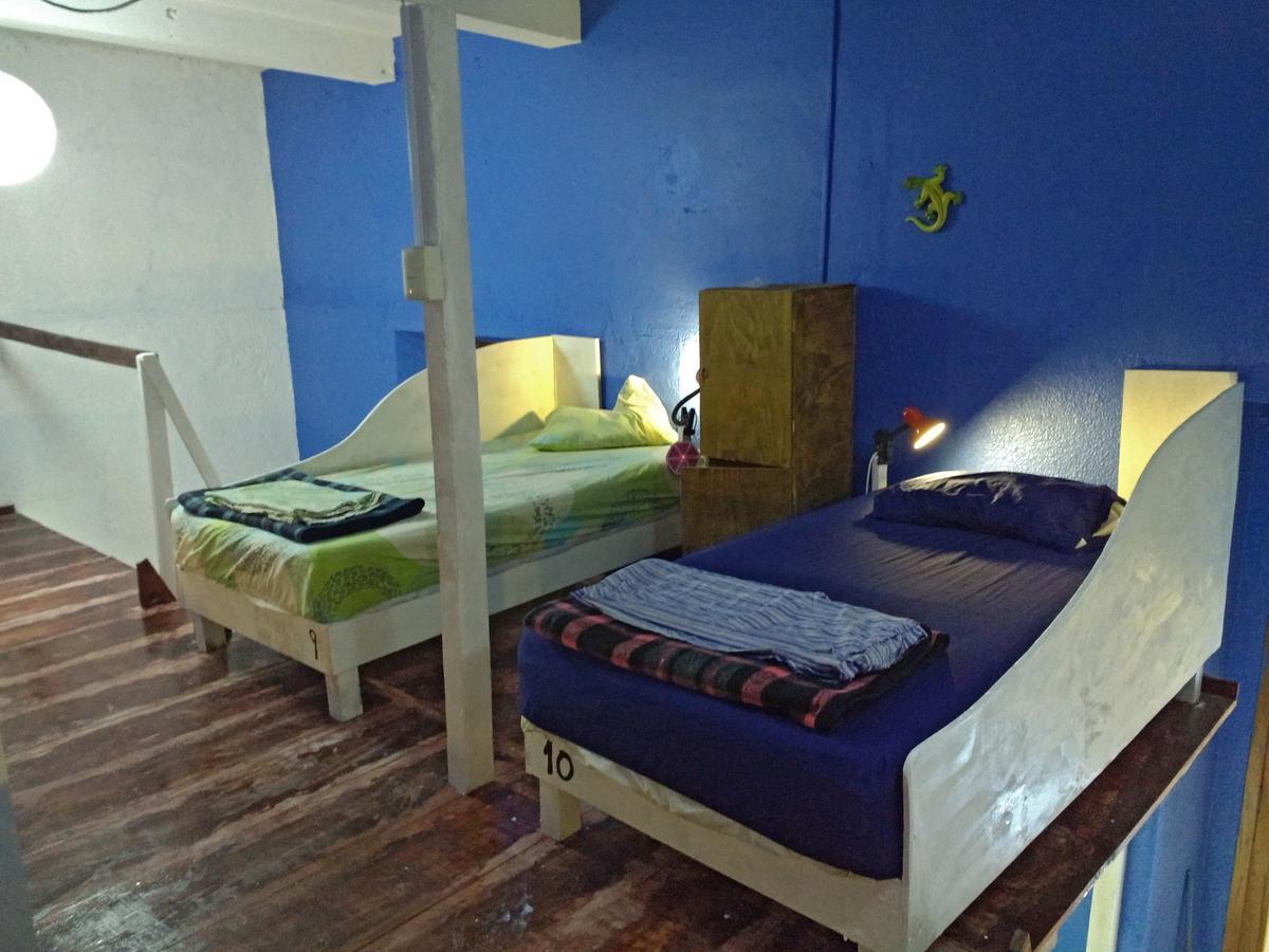 Iguana Hostel 오아하카주 외부 사진