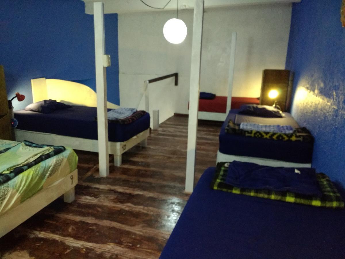 Iguana Hostel 오아하카주 외부 사진